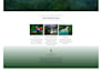 design modern responsive wordpress website by elementor